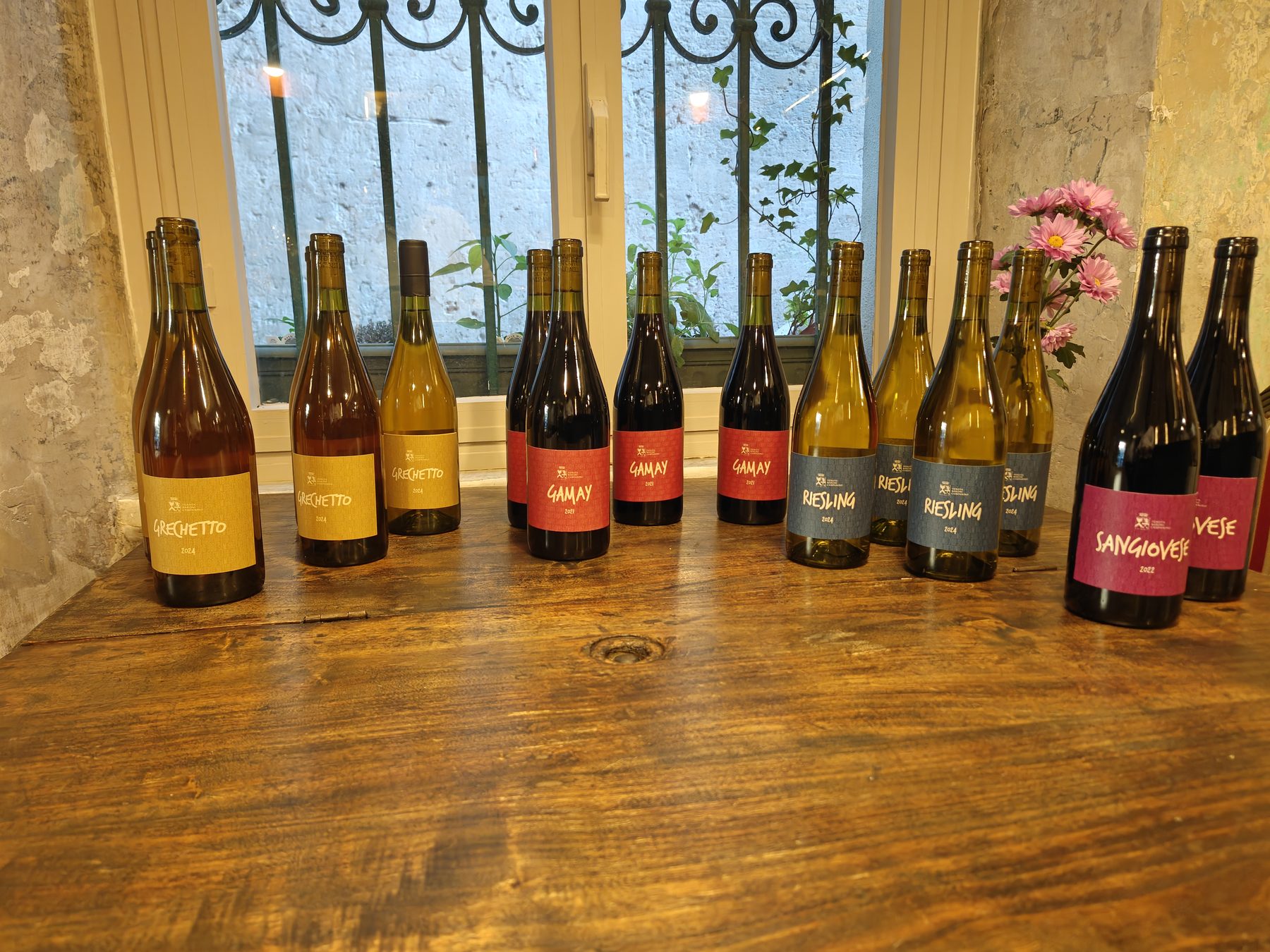 Vini Tenuta Baroni Campanino